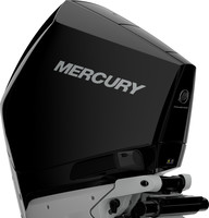 Mercury V 250 L / XL / XXL AM DS