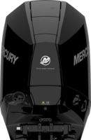 Mercury F 175 L XL DS
